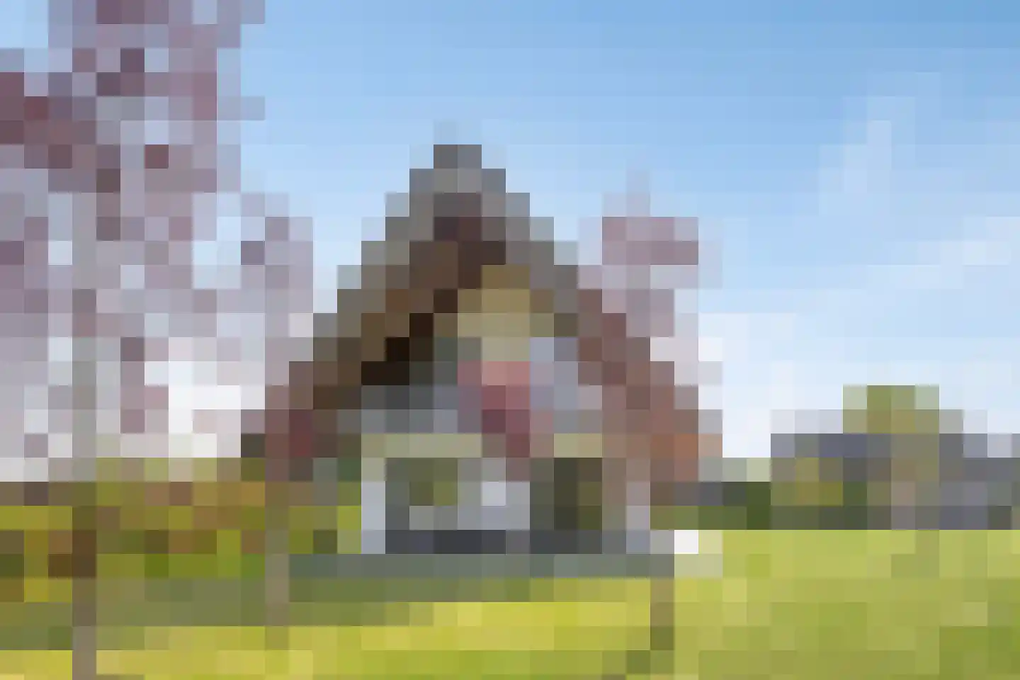Weerribben 9 Hengelo