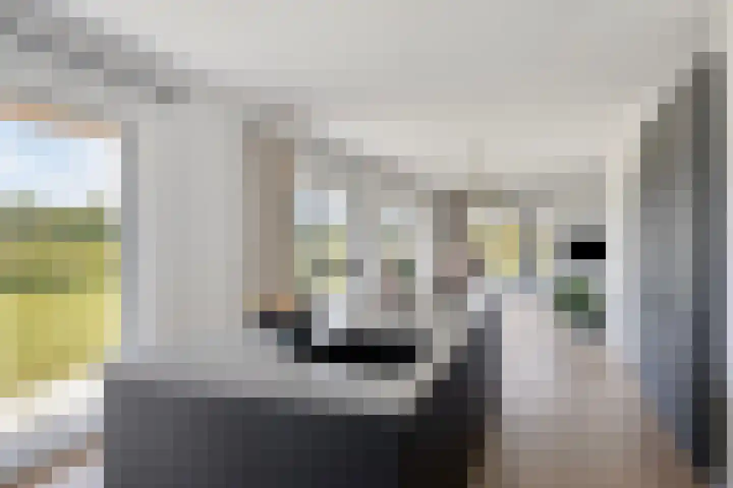 Weerribben 9 Hengelo thumbnail 13