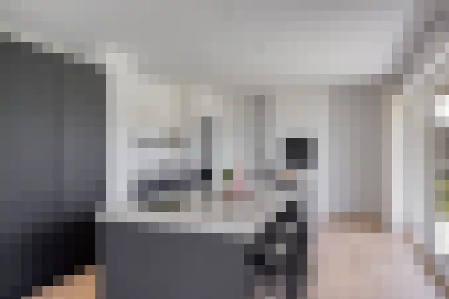 Weerribben 9 Hengelo thumbnail 14
