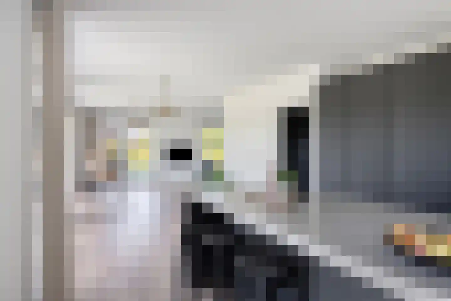 Weerribben 9 Hengelo thumbnail 15