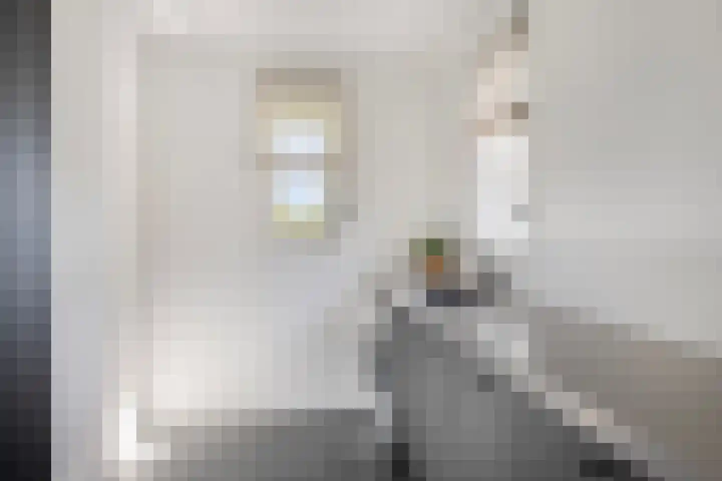 Weerribben 9 Hengelo thumbnail 18