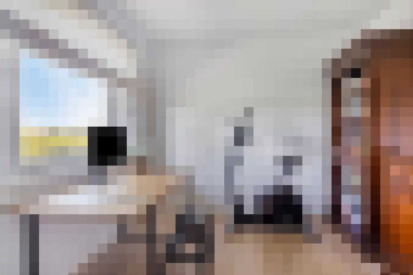 Weerribben 9 Hengelo thumbnail 20