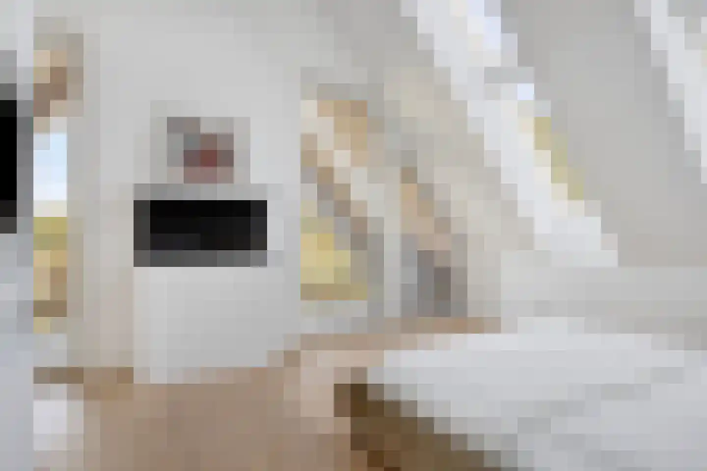 Weerribben 9 Hengelo thumbnail 23