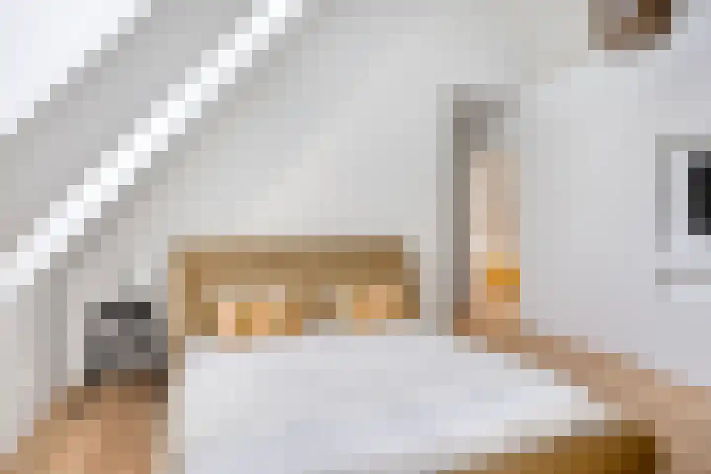 Weerribben 9 Hengelo thumbnail 24