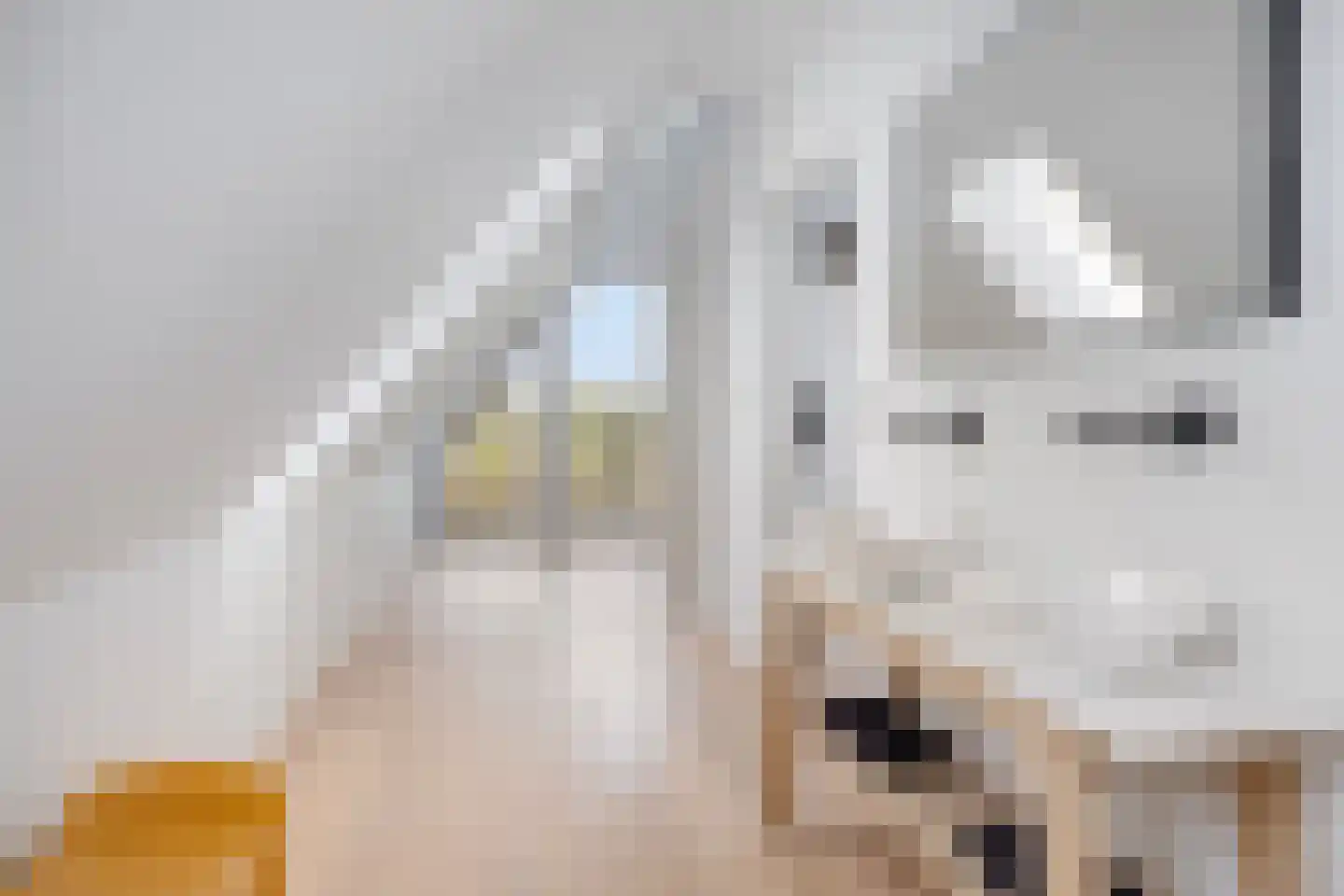 Weerribben 9 Hengelo thumbnail 29