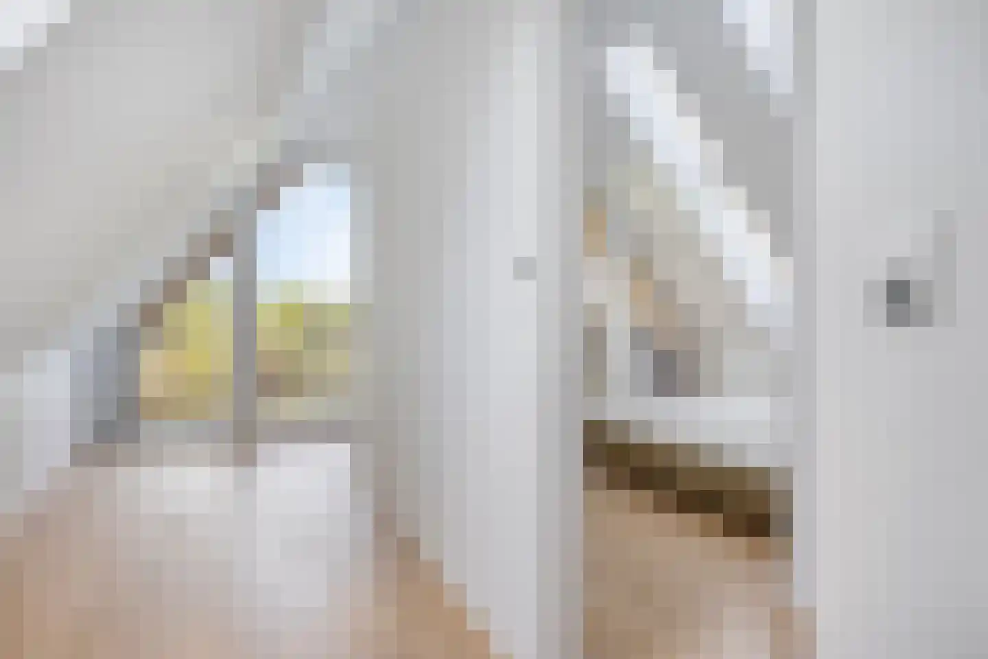 Weerribben 9 Hengelo thumbnail 30