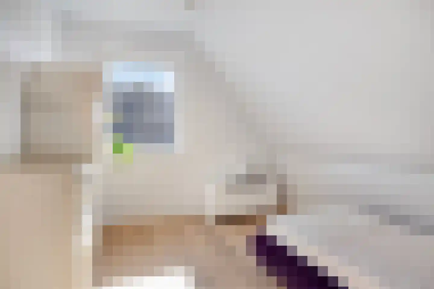 Weerribben 9 Hengelo thumbnail 31