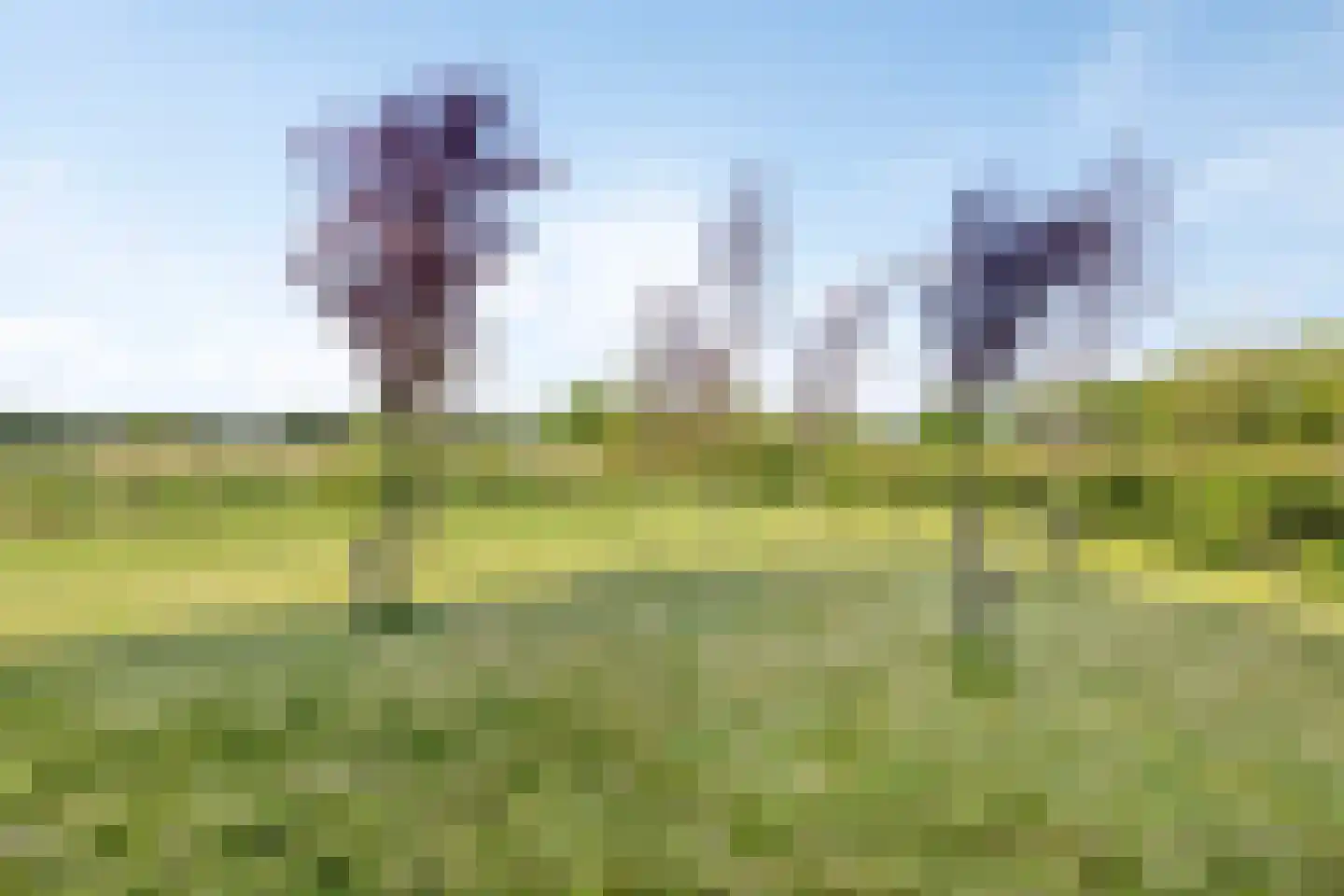 Weerribben 9 Hengelo thumbnail 35