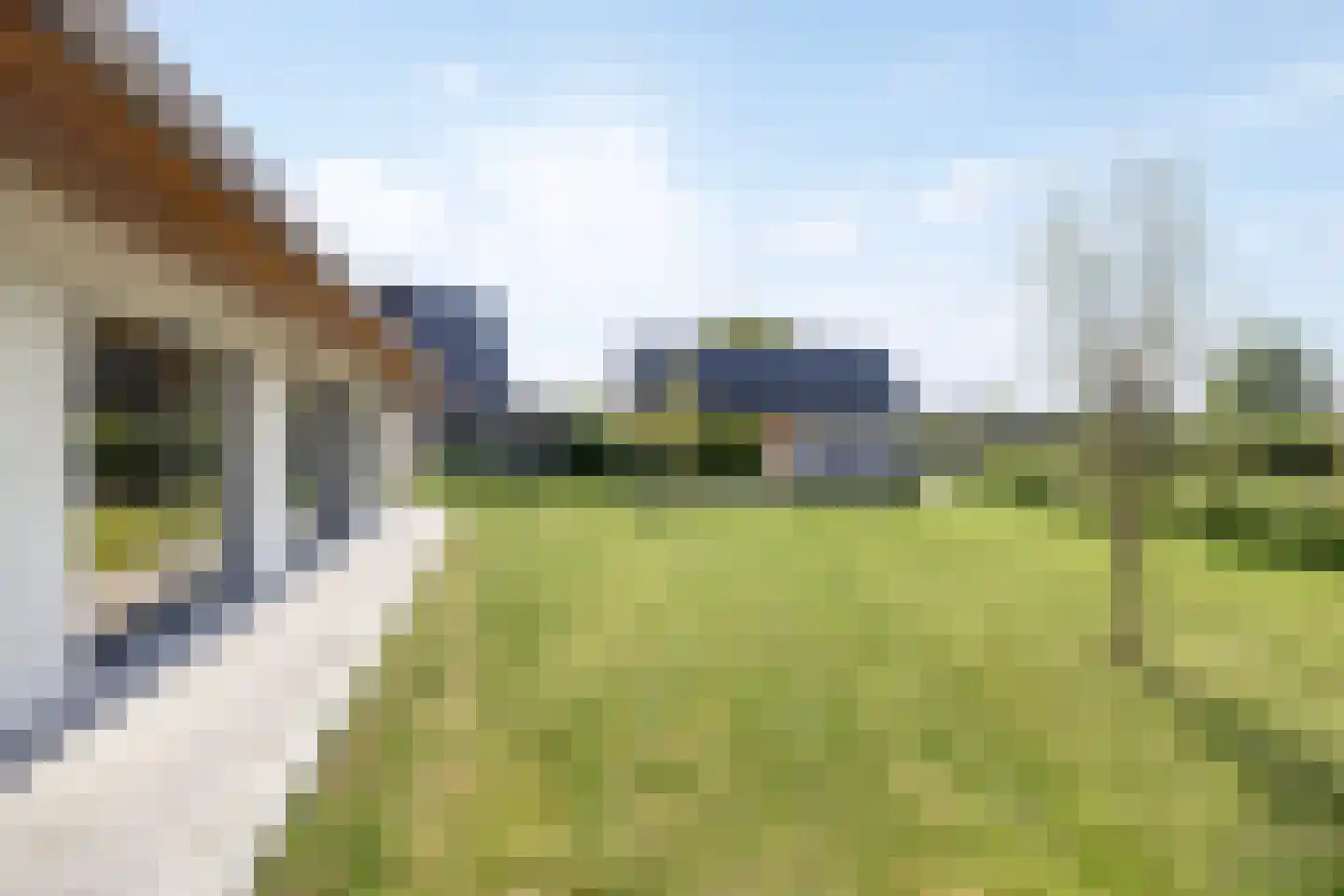 Weerribben 9 Hengelo thumbnail 36