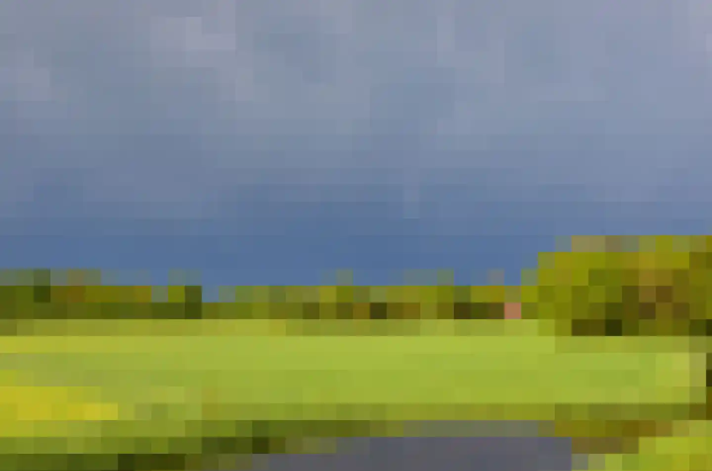 Weerribben 9 Hengelo thumbnail 39