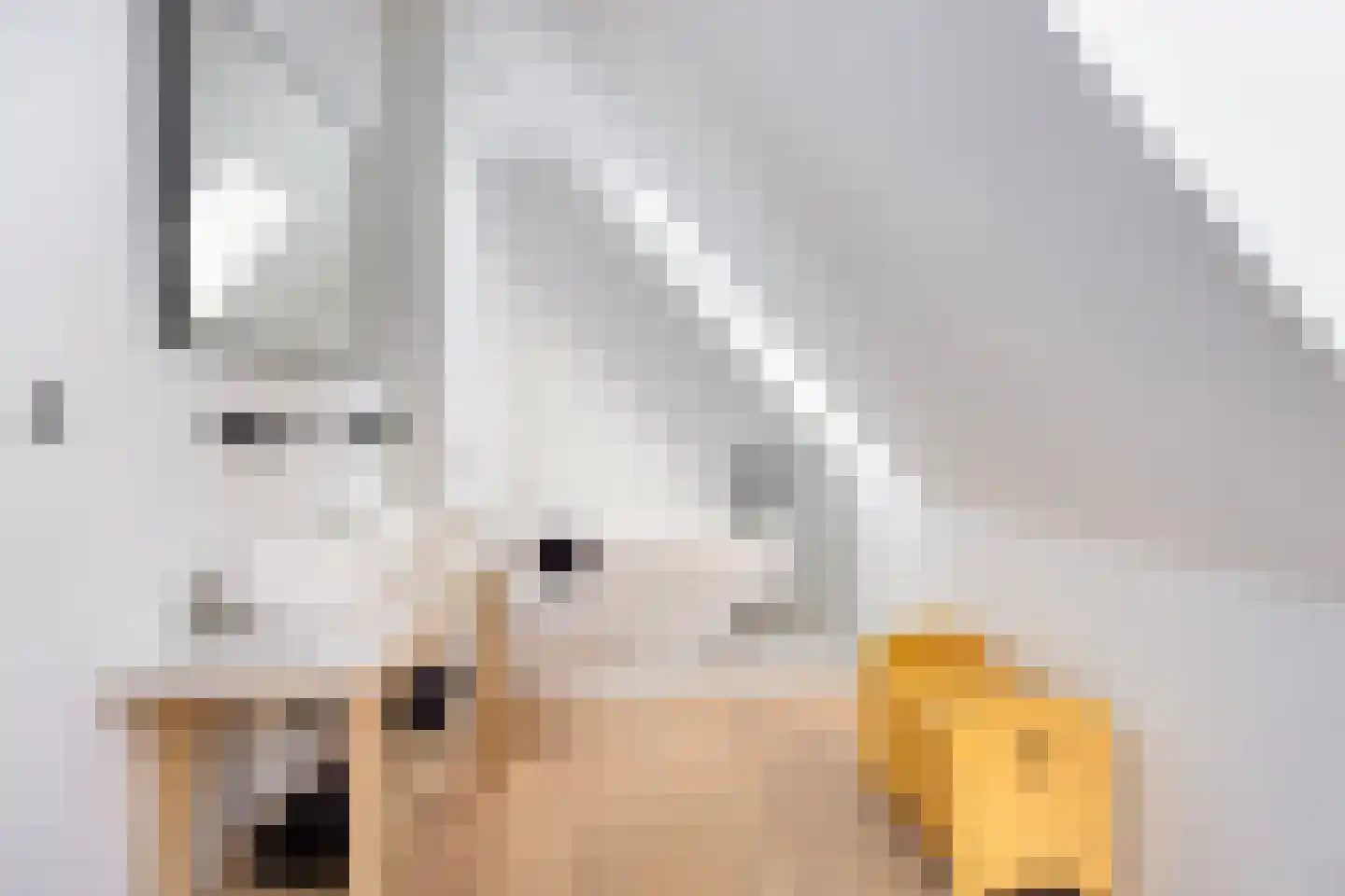 Weerribben 9 Hengelo thumbnail 4