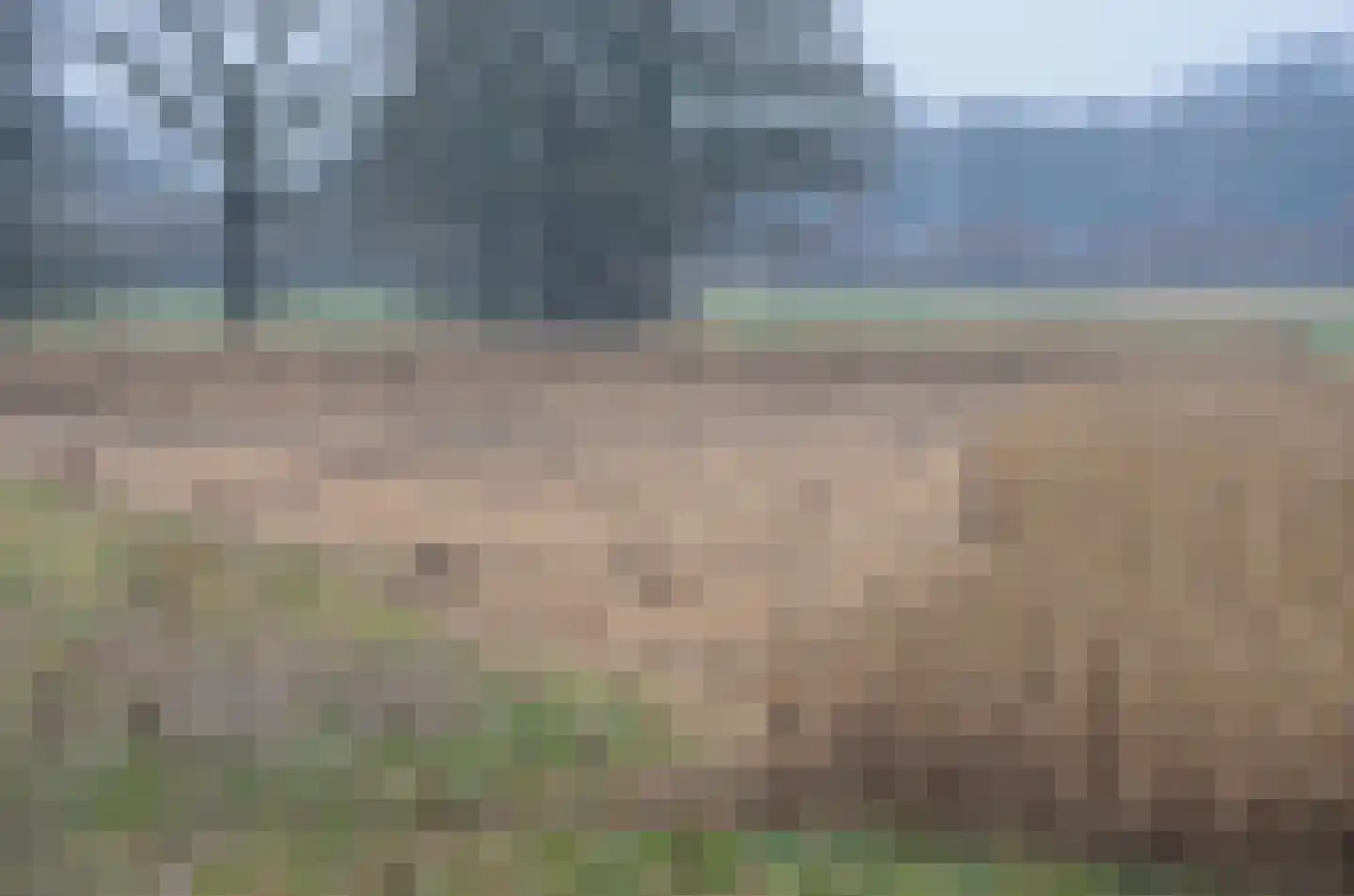 Weerribben 9 Hengelo thumbnail 41
