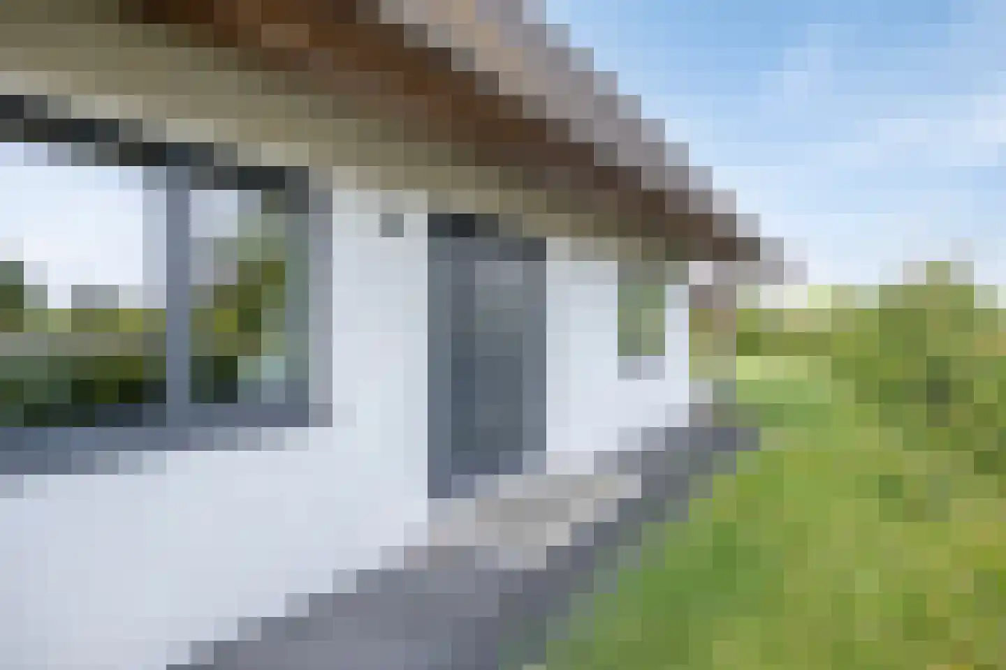 Weerribben 9 Hengelo thumbnail 8