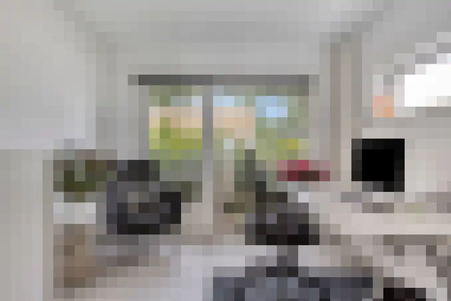 Weerribben 99 Lelystad thumbnail 34