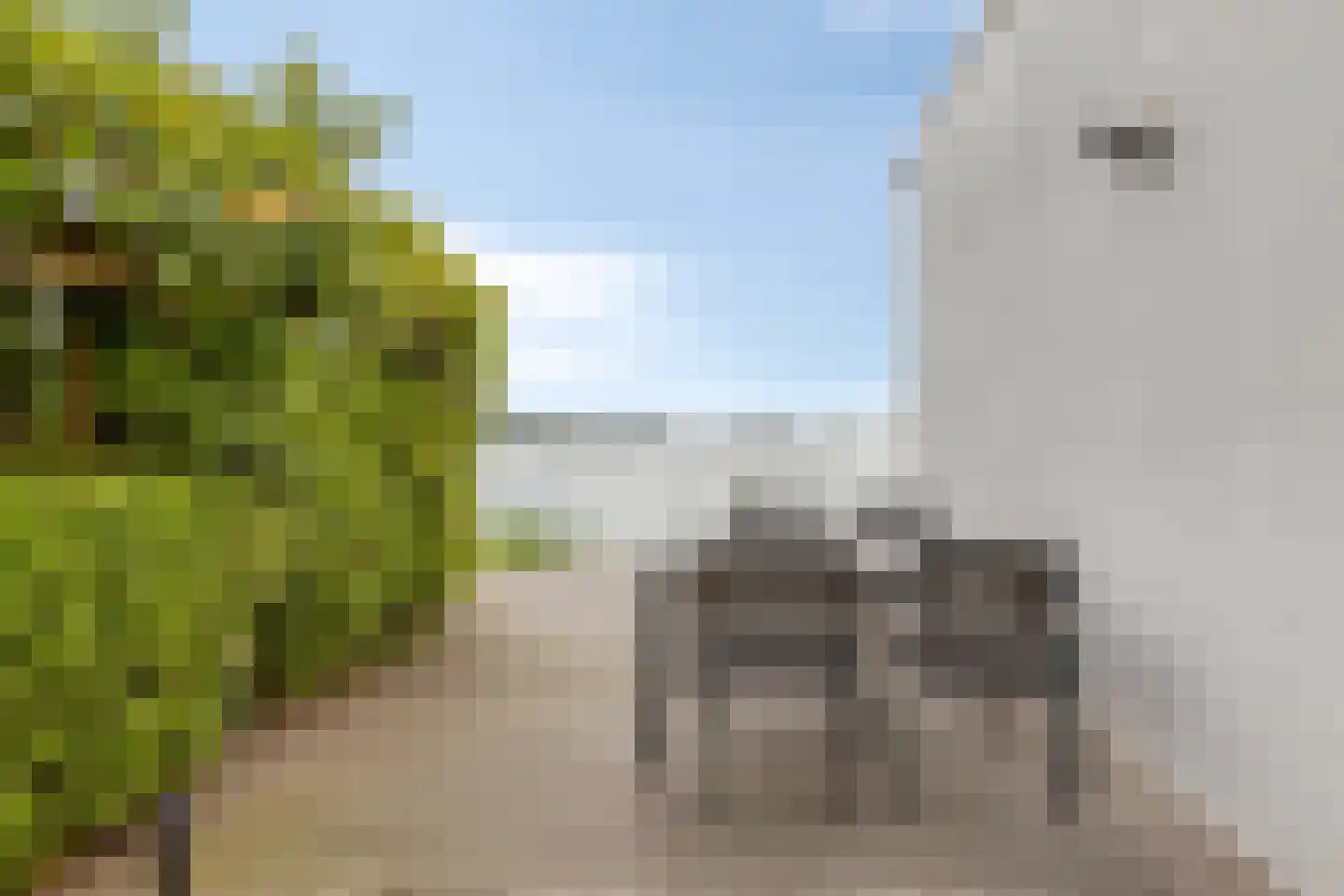 Weerribben 99 Lelystad thumbnail 68