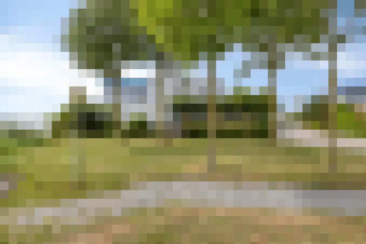 Weerribben 99 Lelystad thumbnail 78