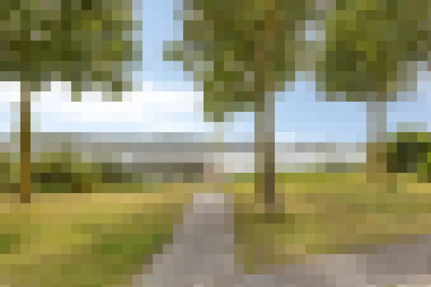 Weerribben 99 Lelystad thumbnail 80