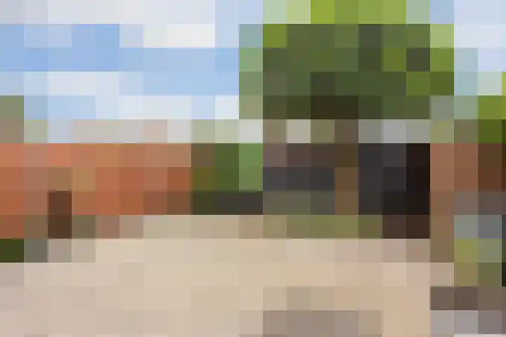 Weerschijnvlinder 1 Utrecht thumbnail 10