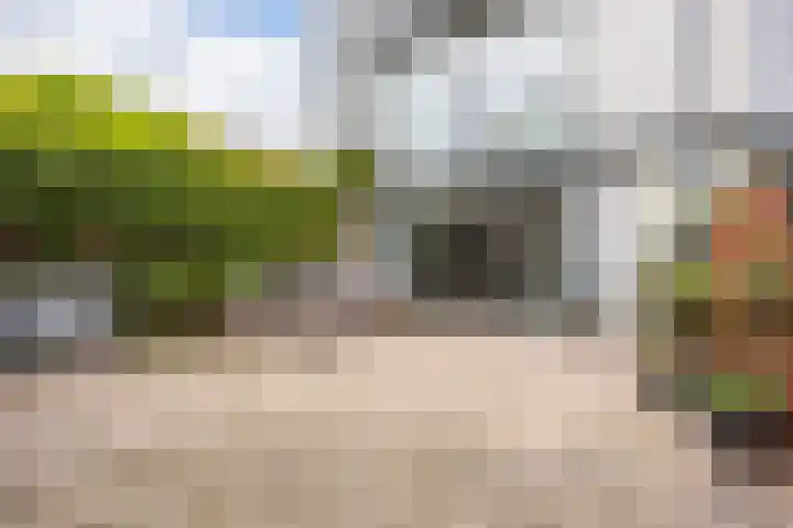 Weerschijnvlinder 1 Utrecht thumbnail 11