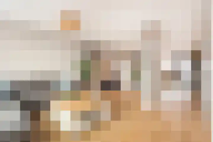 Weerschijnvlinder 1 Utrecht thumbnail 16