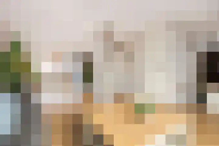 Weerschijnvlinder 1 Utrecht thumbnail 17