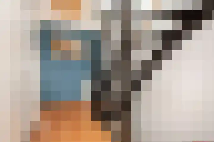 Weerschijnvlinder 1 Utrecht thumbnail 18
