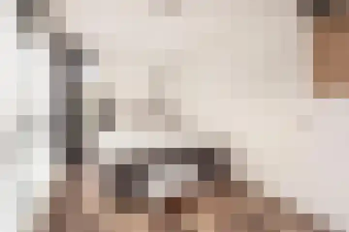 Weerschijnvlinder 1 Utrecht thumbnail 20
