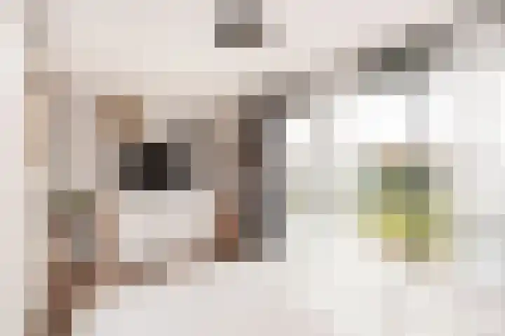 Weerschijnvlinder 1 Utrecht thumbnail 21