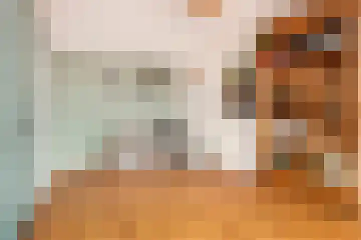 Weerschijnvlinder 1 Utrecht thumbnail 24
