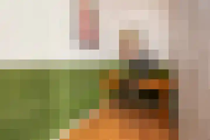 Weerschijnvlinder 1 Utrecht thumbnail 25