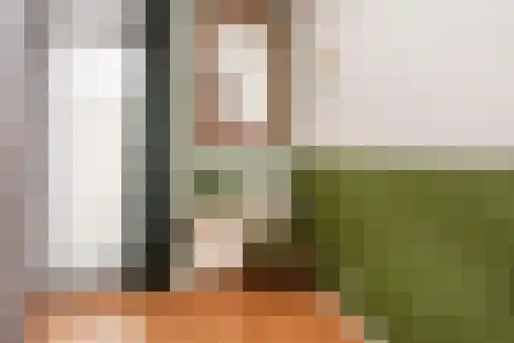 Weerschijnvlinder 1 Utrecht thumbnail 26