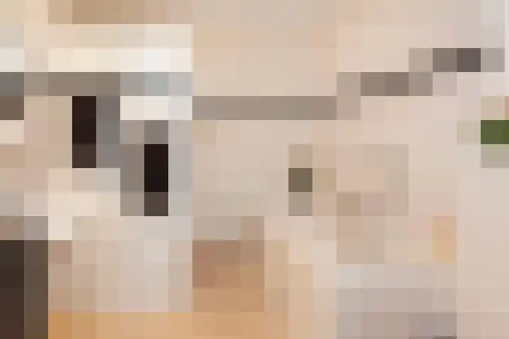 Weerschijnvlinder 1 Utrecht thumbnail 27