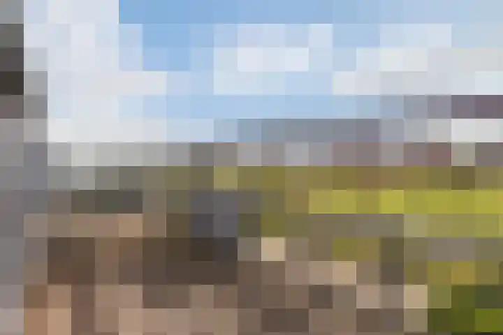 Weerschijnvlinder 1 Utrecht thumbnail 33