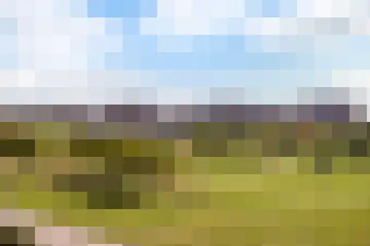 Weerschijnvlinder 1 Utrecht thumbnail 35