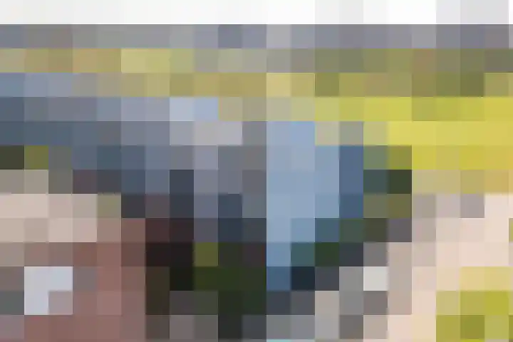 Weerschijnvlinder 1 Utrecht thumbnail 38