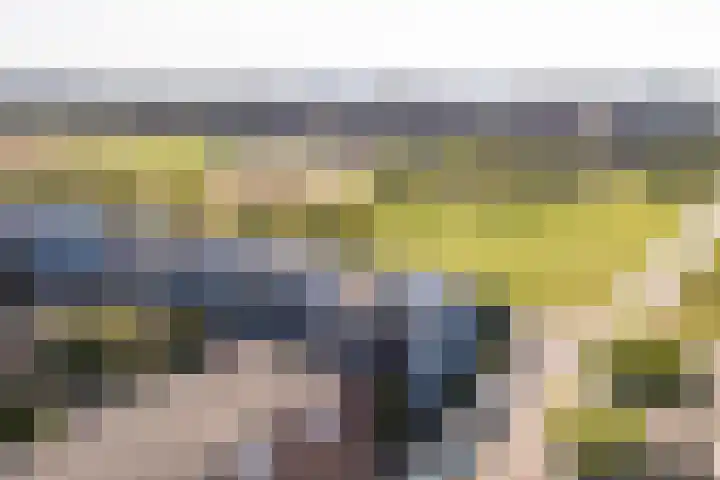 Weerschijnvlinder 1 Utrecht thumbnail 39