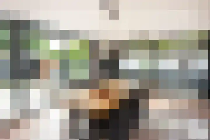 Weerschijnvlinder 1 Utrecht thumbnail 4
