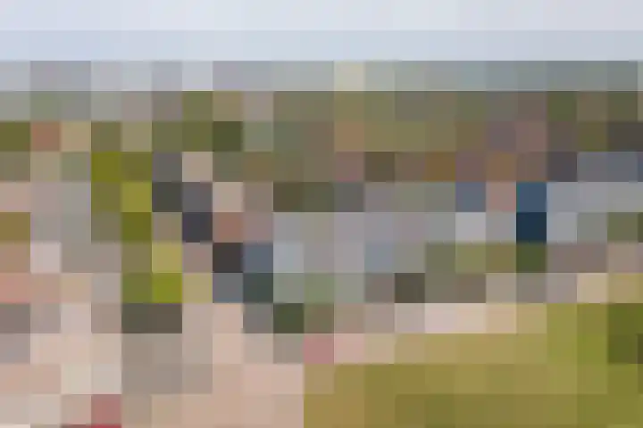 Weerschijnvlinder 1 Utrecht thumbnail 40