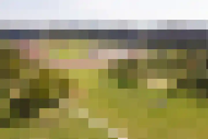 Weerschijnvlinder 1 Utrecht thumbnail 41