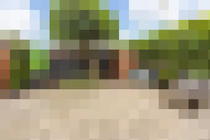 Weerschijnvlinder 1 Utrecht thumbnail 8
