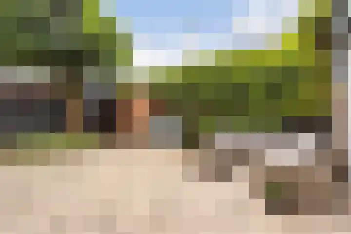 Weerschijnvlinder 1 Utrecht thumbnail 9