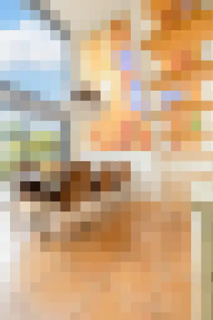 Weerschijnvlinder 45 Utrecht thumbnail 11