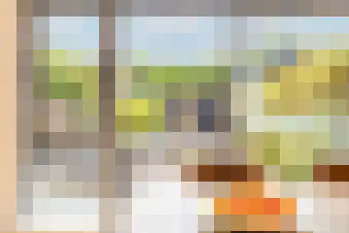 Weerschijnvlinder 45 Utrecht thumbnail 12