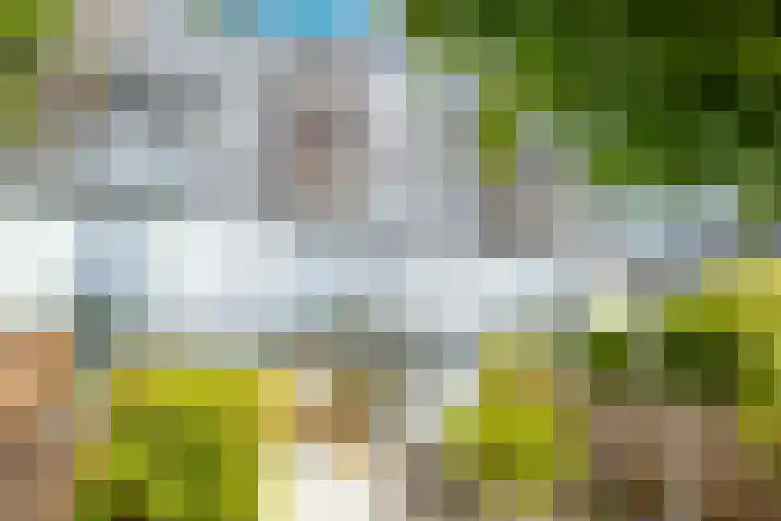 Weerschijnvlinder 45 Utrecht thumbnail 13