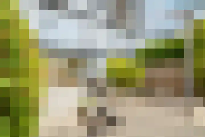 Weerschijnvlinder 45 Utrecht thumbnail 14