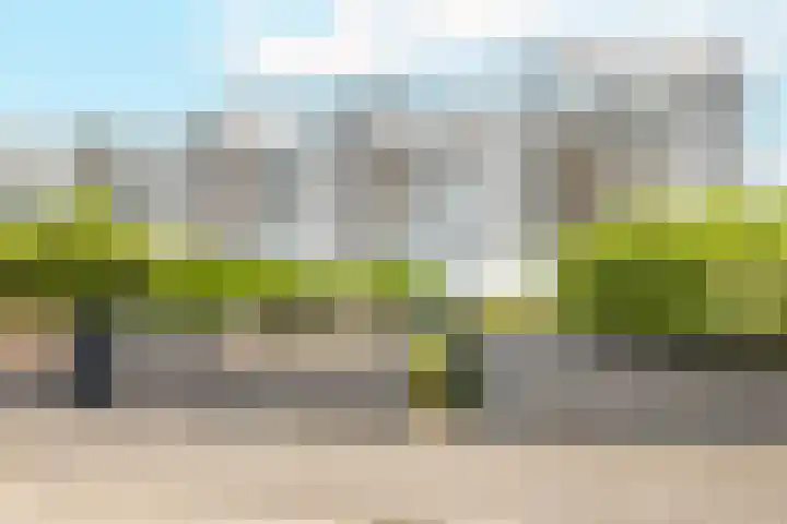 Weerschijnvlinder 45 Utrecht thumbnail 16