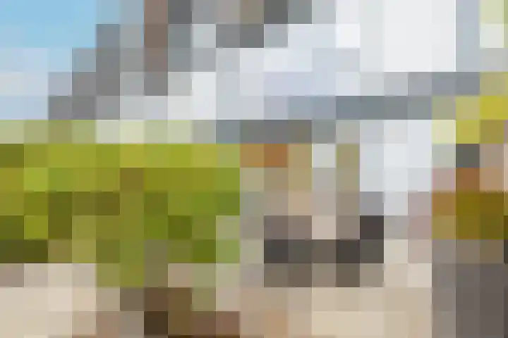 Weerschijnvlinder 45 Utrecht thumbnail 17