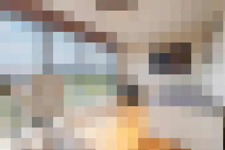 Weerschijnvlinder 45 Utrecht thumbnail 28