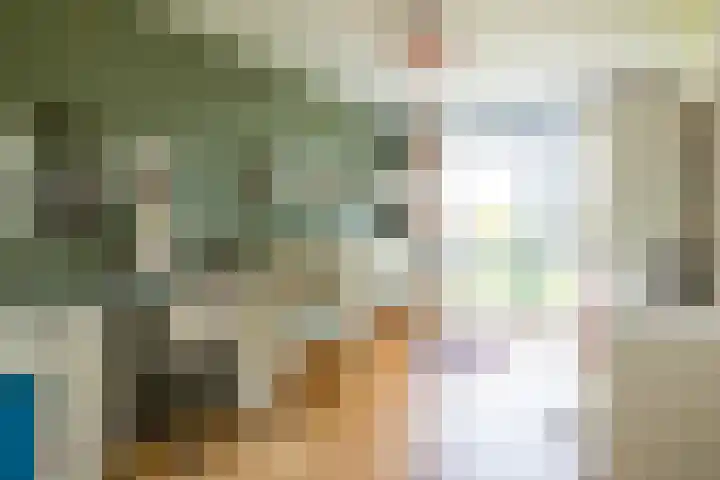 Weerschijnvlinder 45 Utrecht thumbnail 32