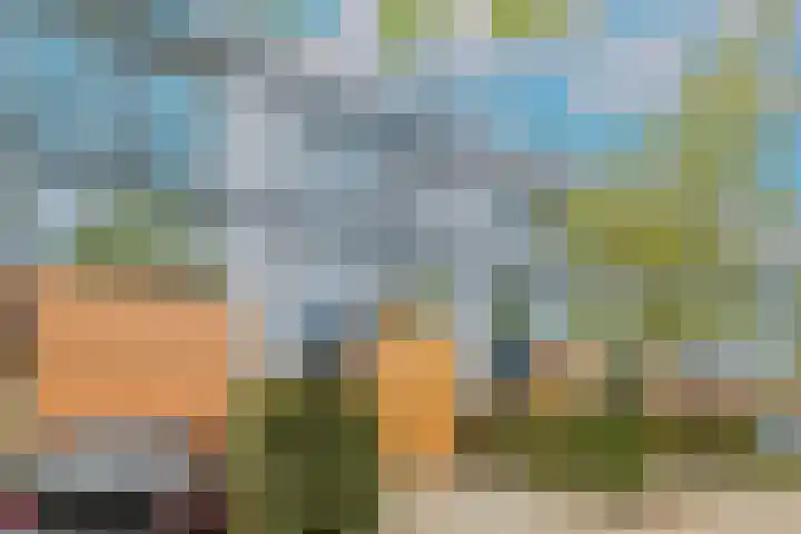 Weerschijnvlinder 45 Utrecht thumbnail 4